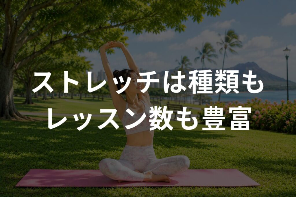 ストレッチは種類もレッスン数も豊富