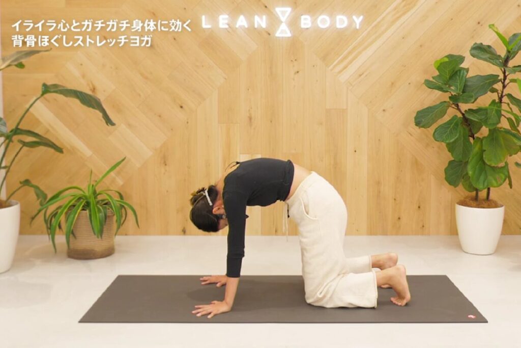 LEANBODYの背骨ほぐしストレッチヨガで、四つ這いになり背中を丸めるポーズ