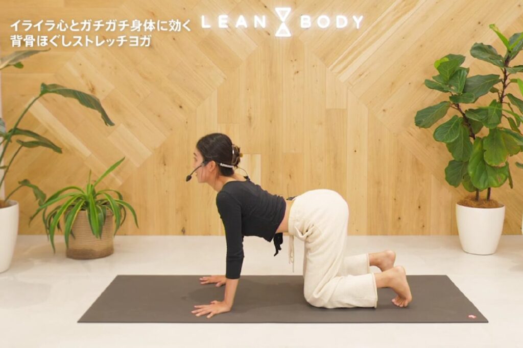 LEANBODYの背骨ほぐしストレッチヨガで、四つ這いになり背中を反らすポーズ