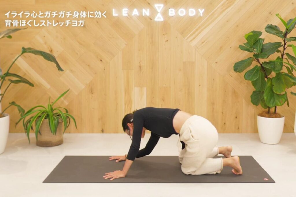LEANBODYの背骨ほぐしストレッチヨガで、四つ這いで腰をほぐす動き