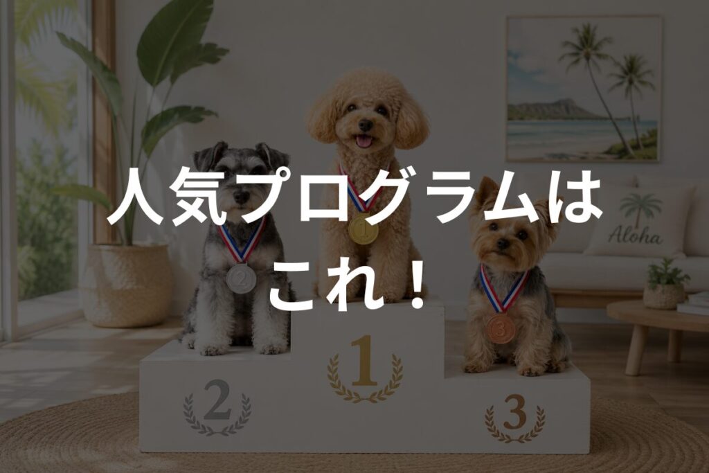 人気プログラムはこれ！