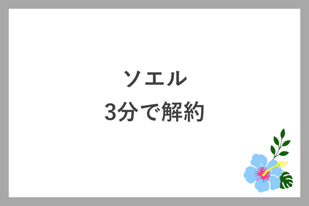 ソエルは3分で解約できる