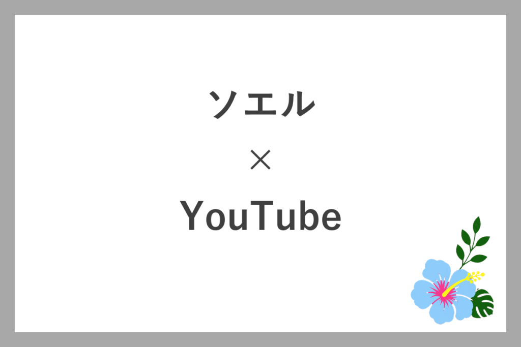 ソエルとYouTubeの違い