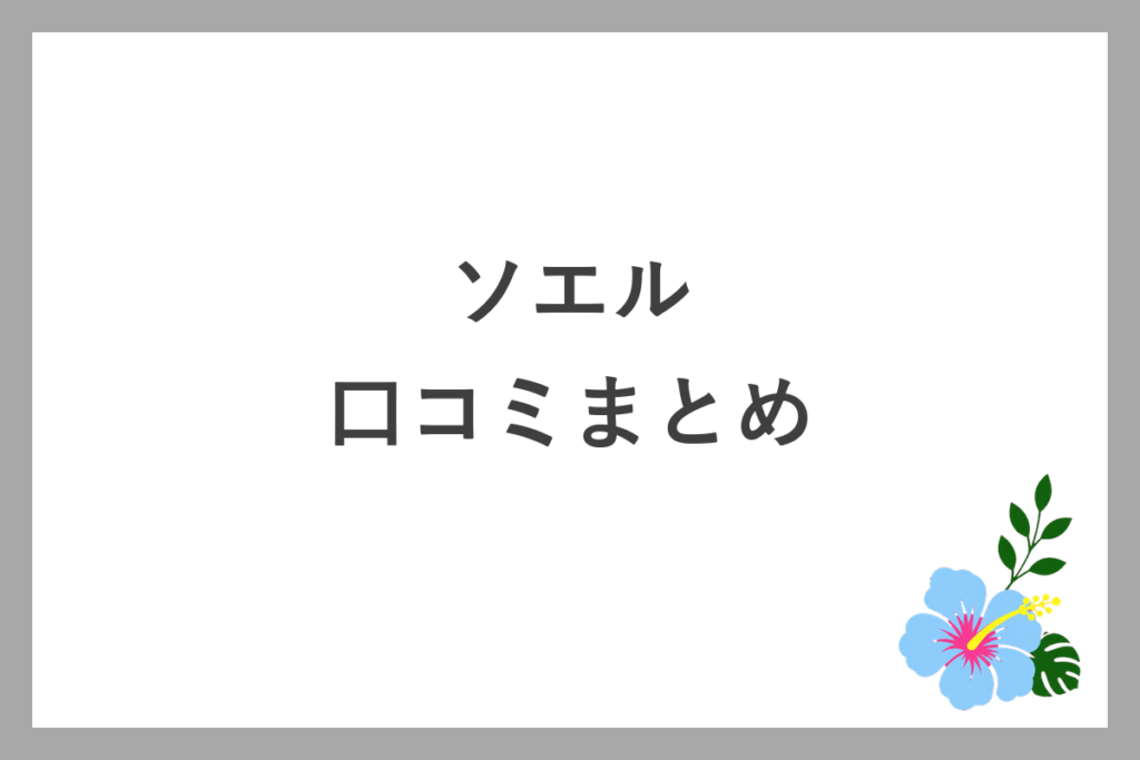 ソエルの口コミまとめ