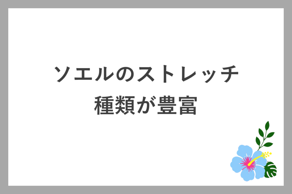 ソエルのストレッチは種類が豊富