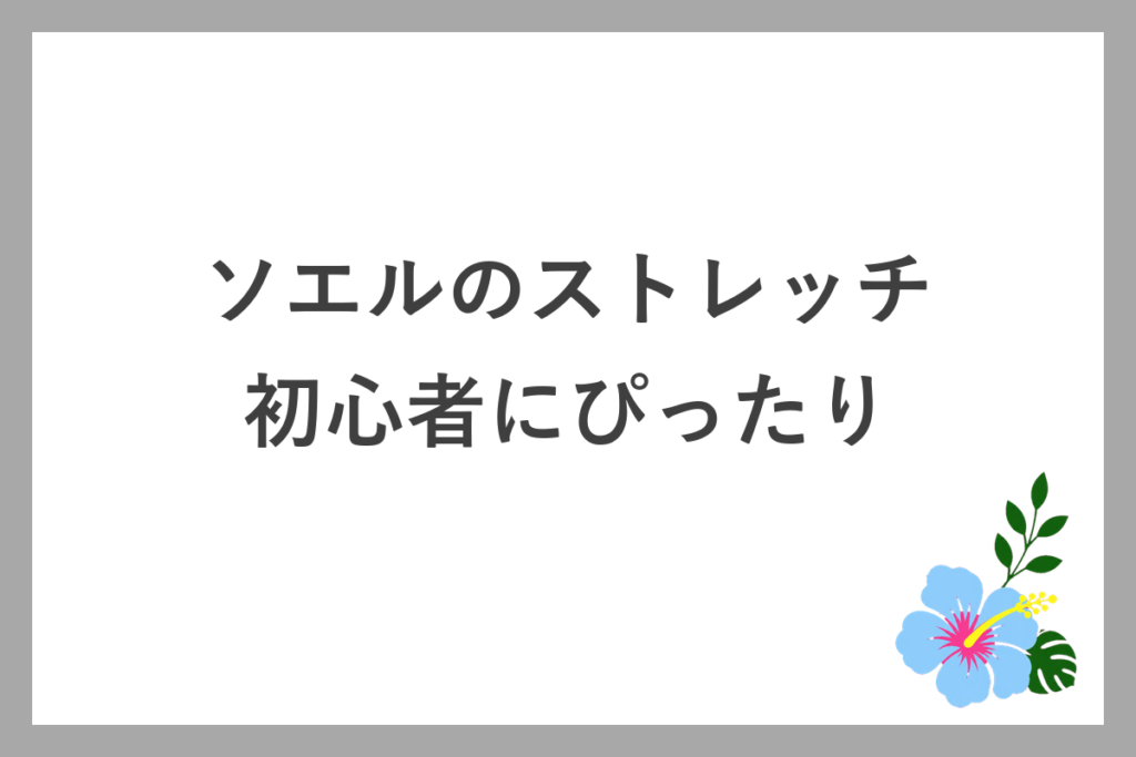 ソエルのストレッチは初心者にぴったり