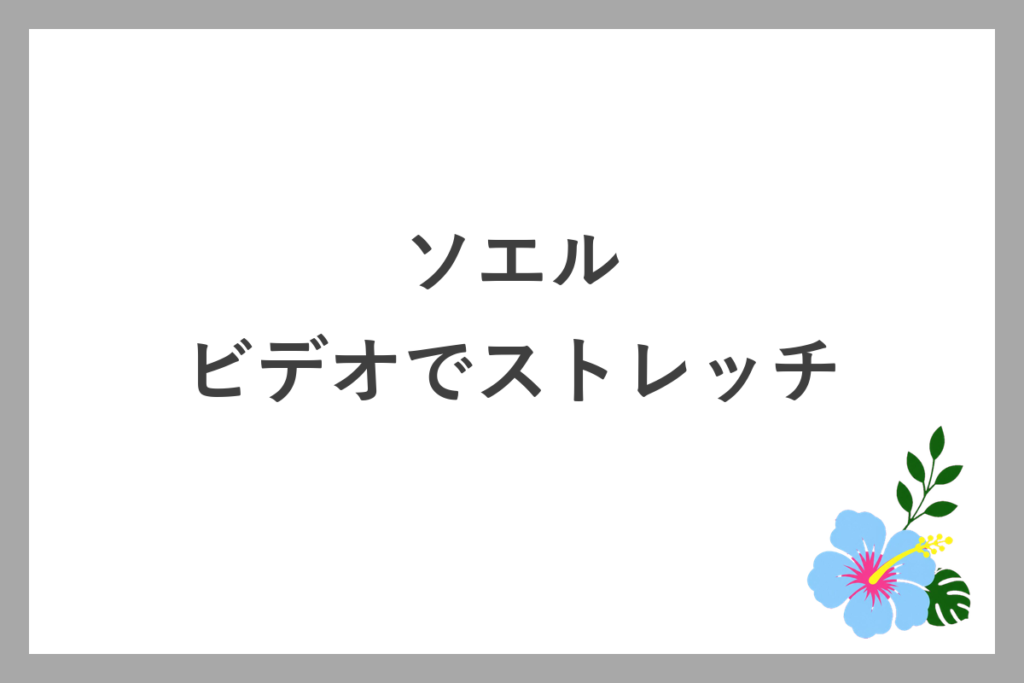ソエルのビデオレッスンでストレッチ
