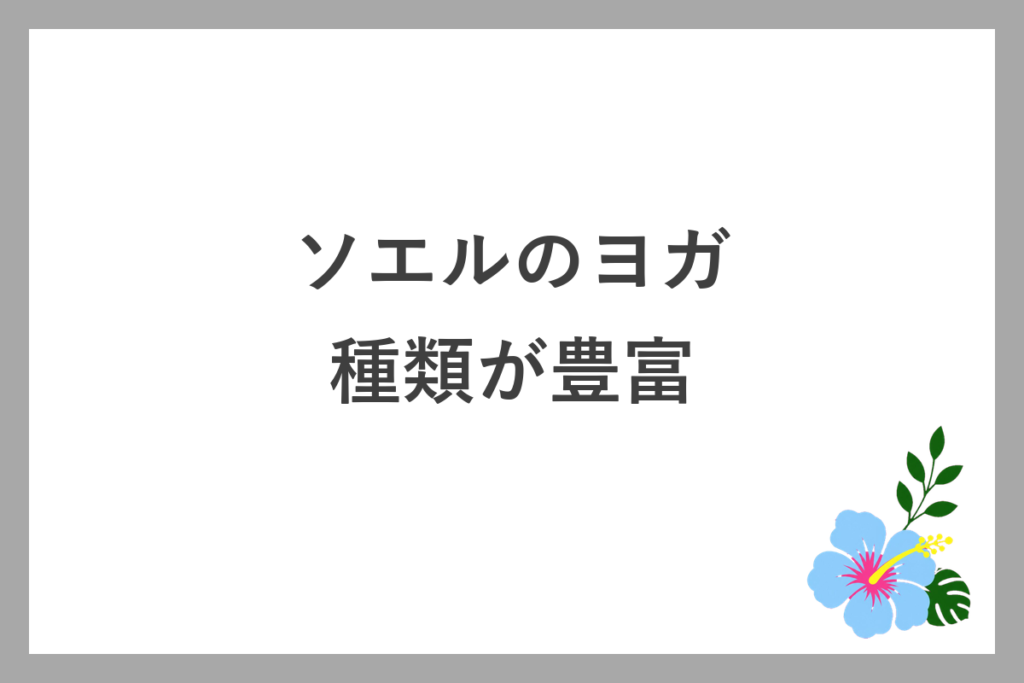 ソエルのヨガは種類が豊富