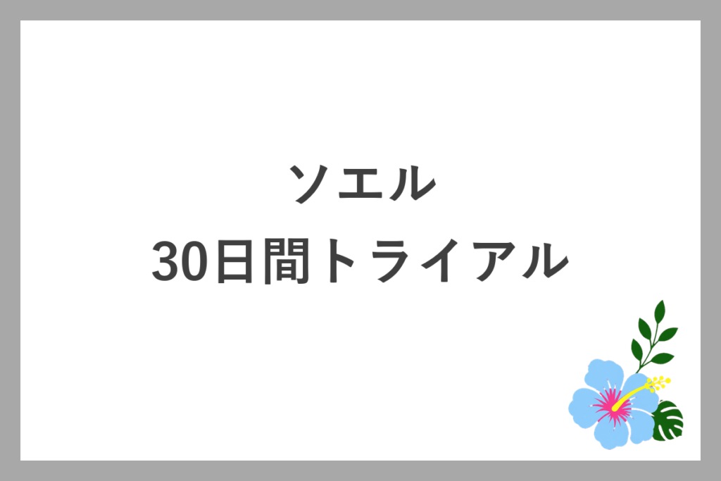 ソエルの30日間100円トライアル